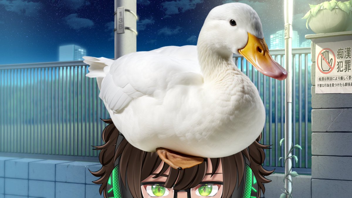 I'm gonna stream. But first, don't forget to say hi to Duck.

twitch.tv/kurisutwitch_