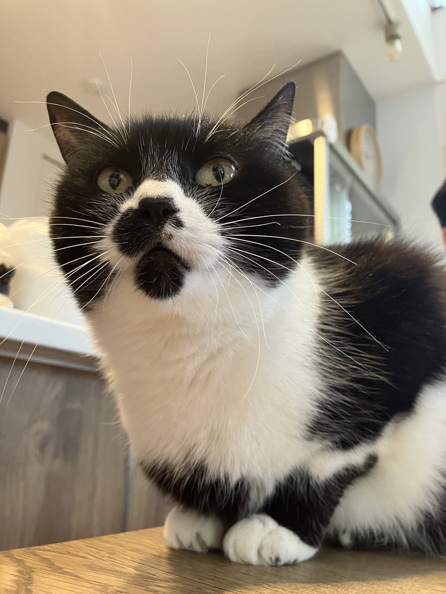 とろみ tweet media