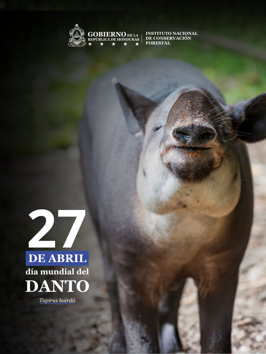 Instituto Nacional de Conservación Forestal tweet media