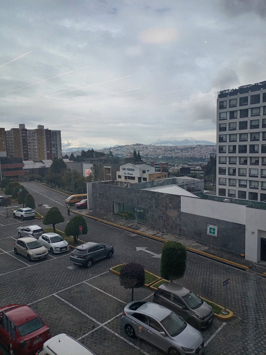 Singleec24 tweet media