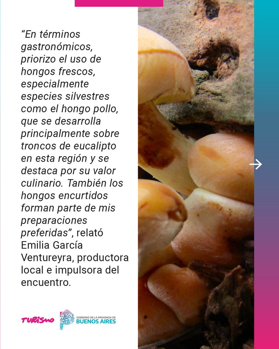 DOS FIESTAS: HONGOS, CORDERO, MAR Y CAMPO ¿VAMOS?

🍄En Claromecó, el 4° Encuentro de Identificación de Hongos, invita a descubrir el mundo de los hongos con caminatas por el bosque, charlas y talleres de cocina.