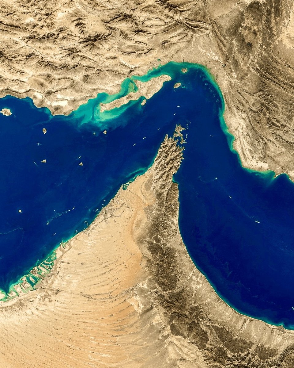 Jackson Hinkle 🇺🇸 tweet media