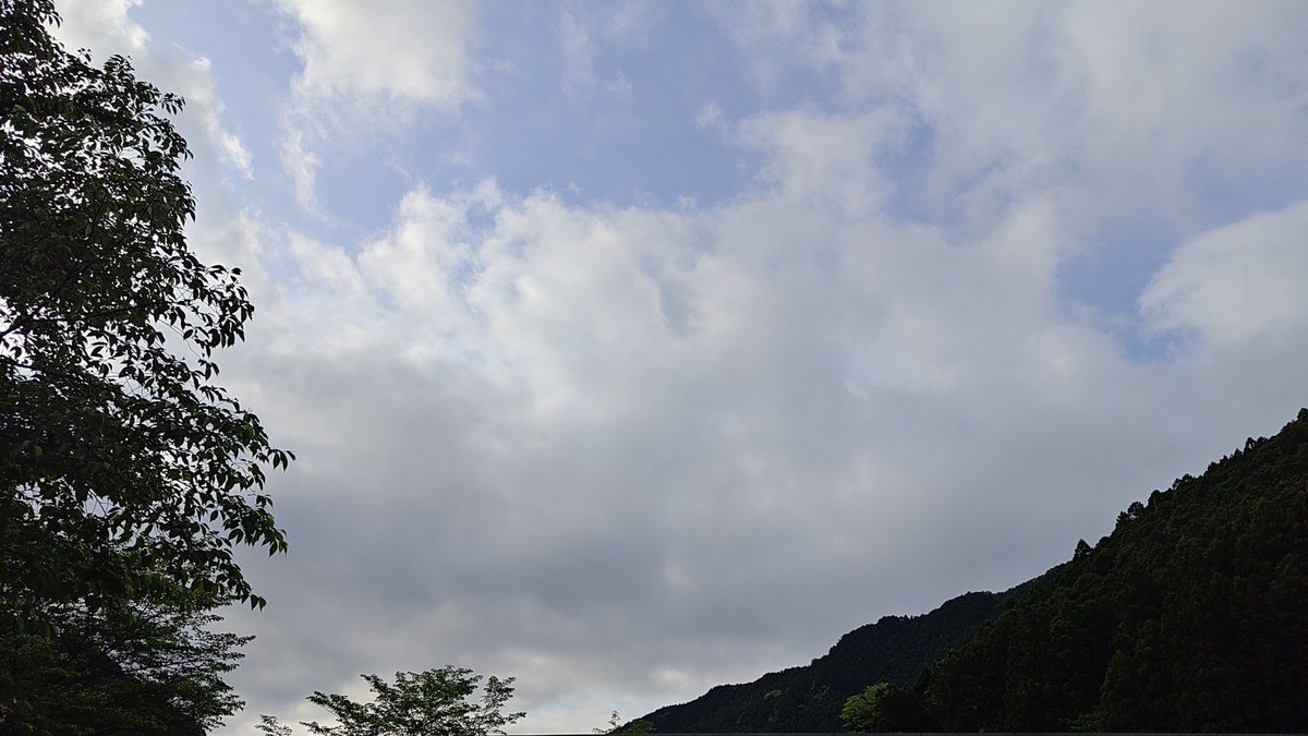 ryueig's tweet photo. おはようございます。
このくしゃみ原因はもしかして… https://t.co/ghq9uqw12b