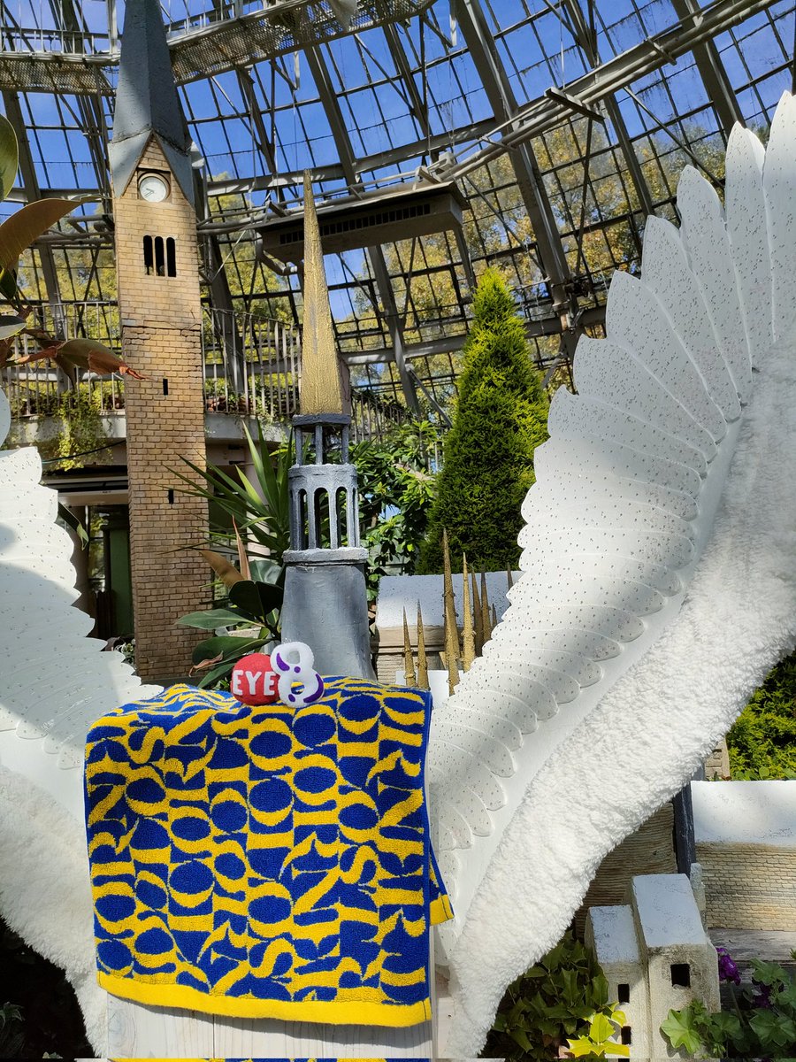 🆕ざっくん✨ 【みやざっくん、でもOK】 tweet media