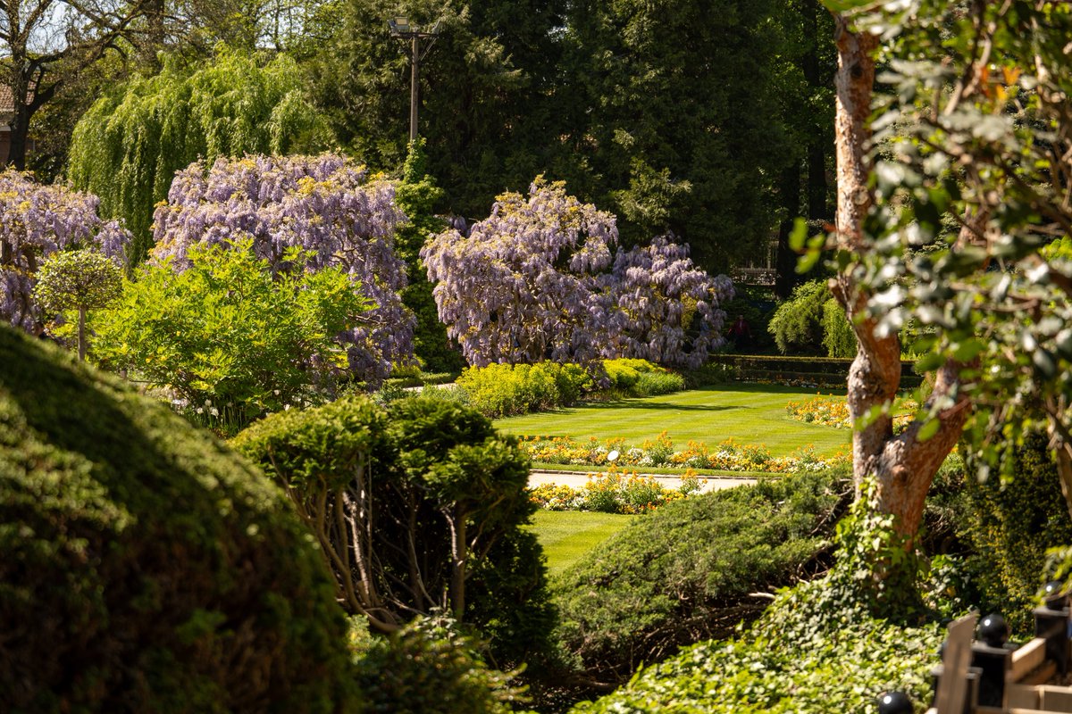 Raphael Barberi📷 tweet media