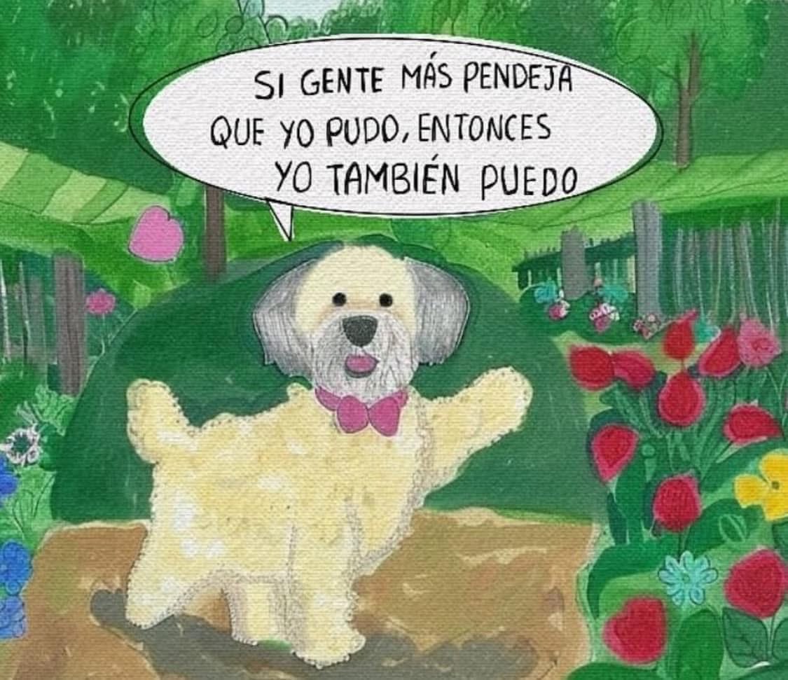 Dilo con perritos tweet media