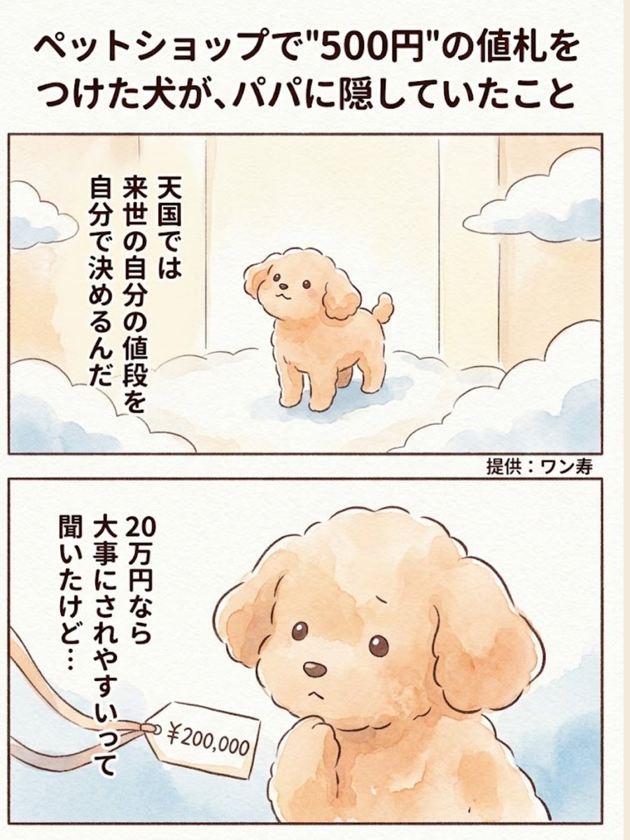 感動で涙止まらん😭