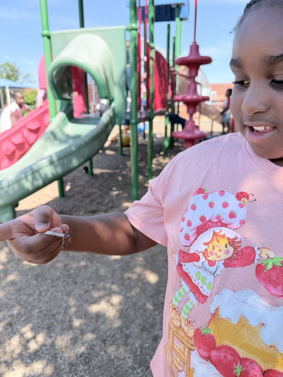 RCAELCPAT's tweet image. Earthworms spotted. 
Questions asked. 
Learning activated. 
Student scientists stay ready.
#LittleExplorers #PreKScience #OutdoorLearning #CuriousKids #HandsOnLearning #EarlyLearning #TeacherLife