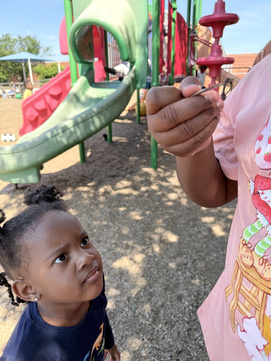 RCAELCPAT's tweet image. Earthworms spotted. 
Questions asked. 
Learning activated. 
Student scientists stay ready.
#LittleExplorers #PreKScience #OutdoorLearning #CuriousKids #HandsOnLearning #EarlyLearning #TeacherLife