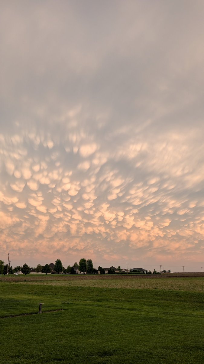 $herm tweet media
