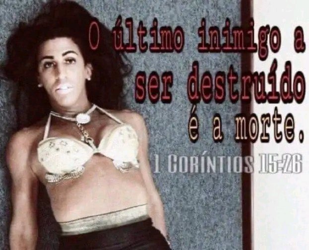 léo tweet media