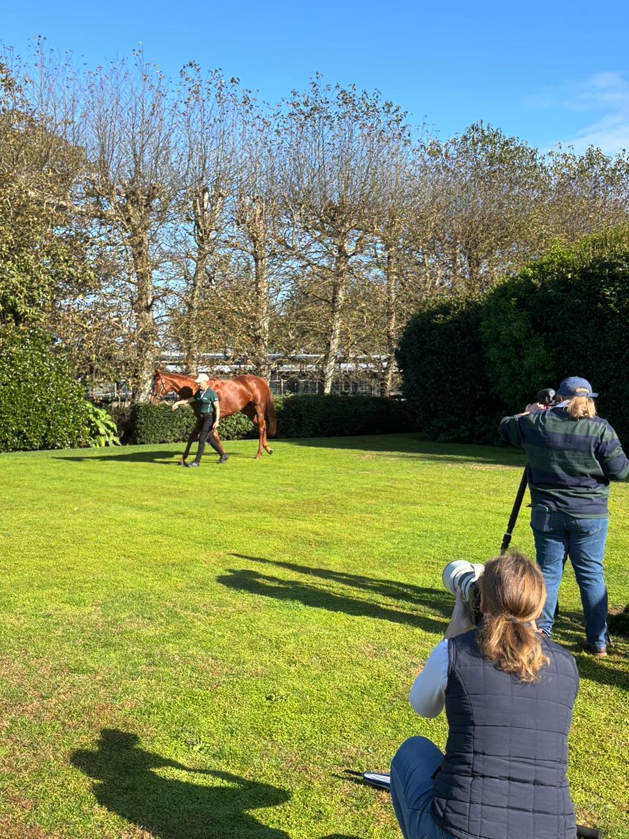 gavelhouse's tweet image. 🤩 A stunning autumn morning with the A Team in Cambridge preparing for our next Gavelhouse Plus offering #staytuned