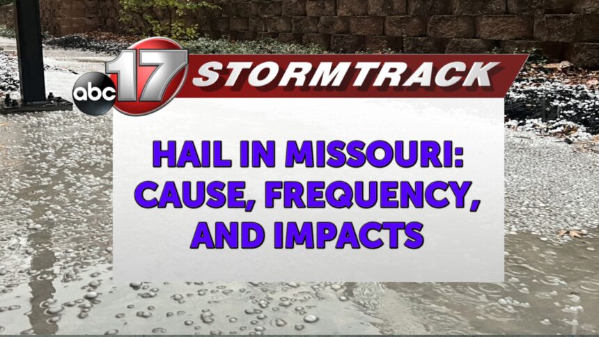 SFAGTMATTWOODS's tweet photo. Hail is consistently one of the costliest severe weather events, causing billions of dollars in damage annually to cars, ...
https://t.co/g3c0maHVGQ https://t.co/uVkph88Bzy