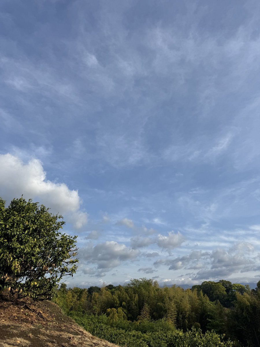 macco｜働きながら整える人☘️ tweet media