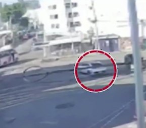 Fundacion Patitas Enlodadas AC😺🐶 tweet media