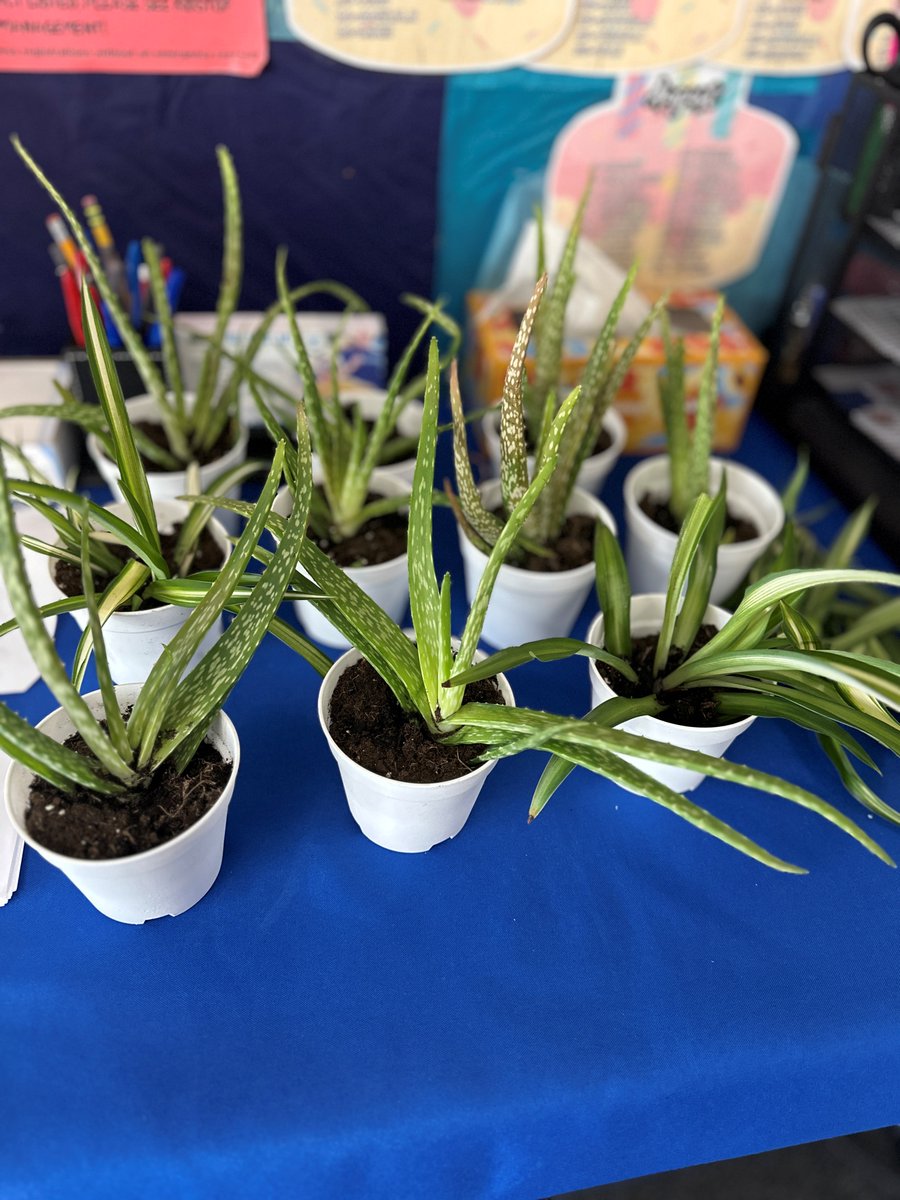 Boys & Girls Clubs tweet media