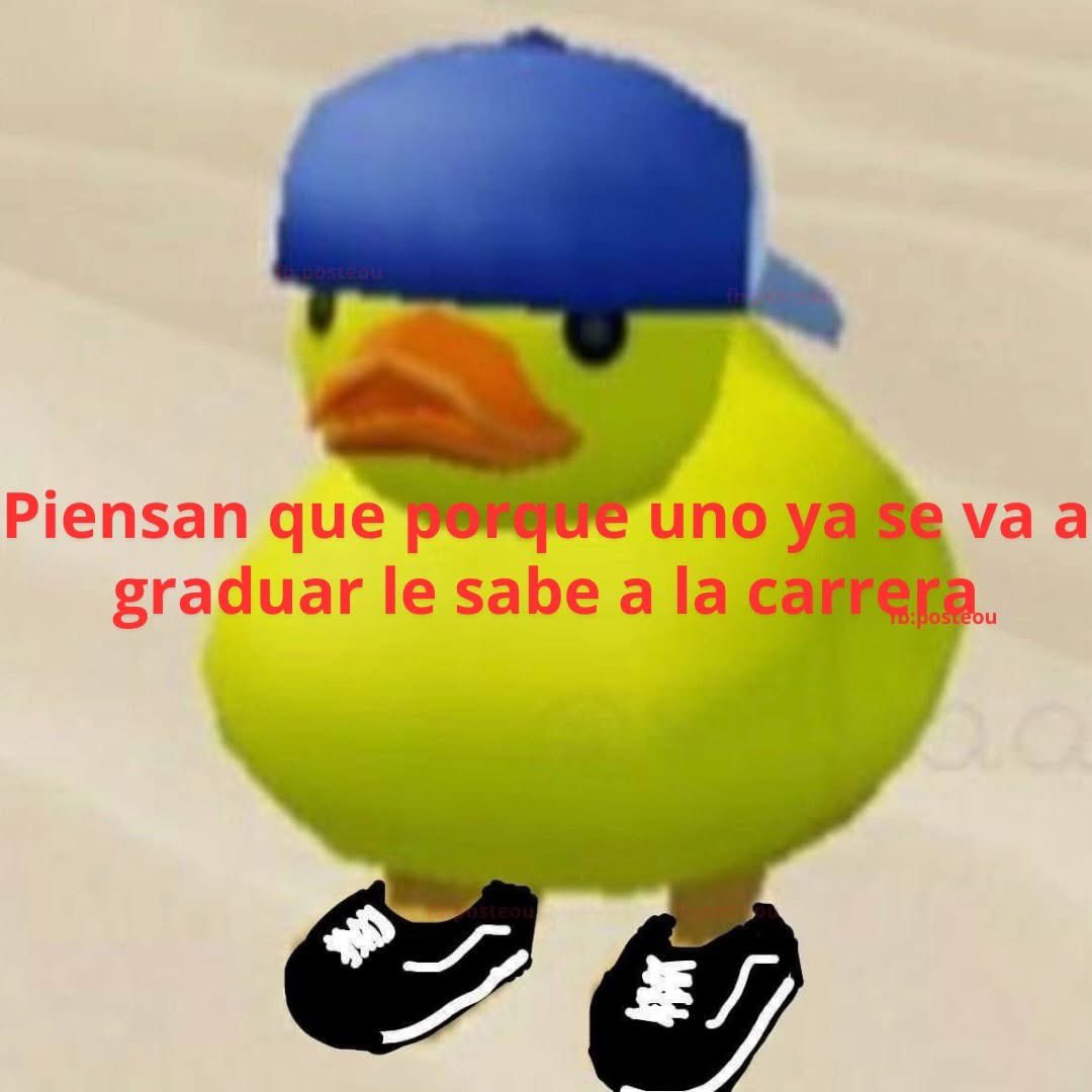 yo qué sé tweet media