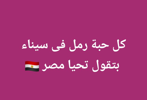 الأحداث المصرية🇪🇬 tweet media