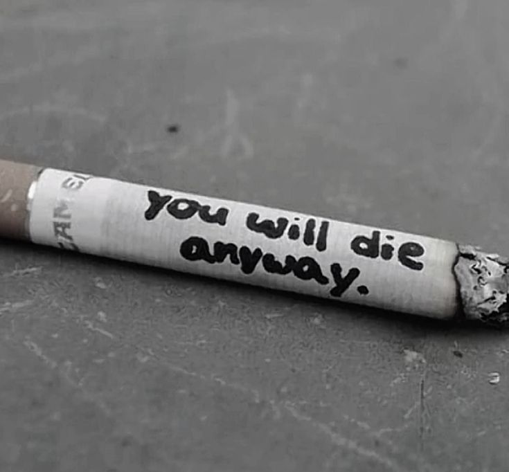 k᥆ᑲᥱᥒі 𝖿r᥆m sһᥱძ𝗍ᥕ𝗍 / ifb!! tweet media