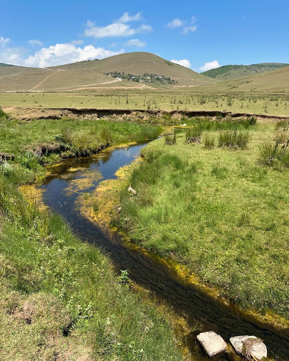 Oğuz Kurdoğlu tweet media