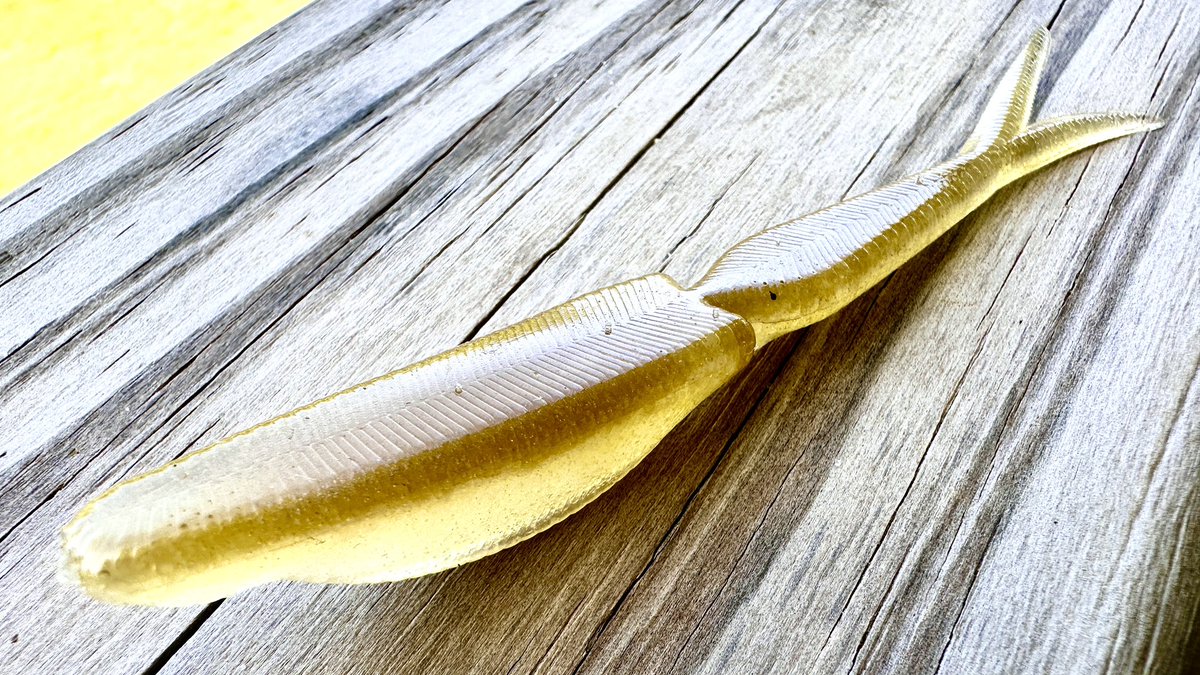 BassGeekFishing's tweet image. This Soft Jerkbait Thinks It’s a Glide Bait!

#softjerkbait #flukefishing #SpringFishing #summerfishing #bassfishing #fishing #bassgeek BassReaper Bait Co
