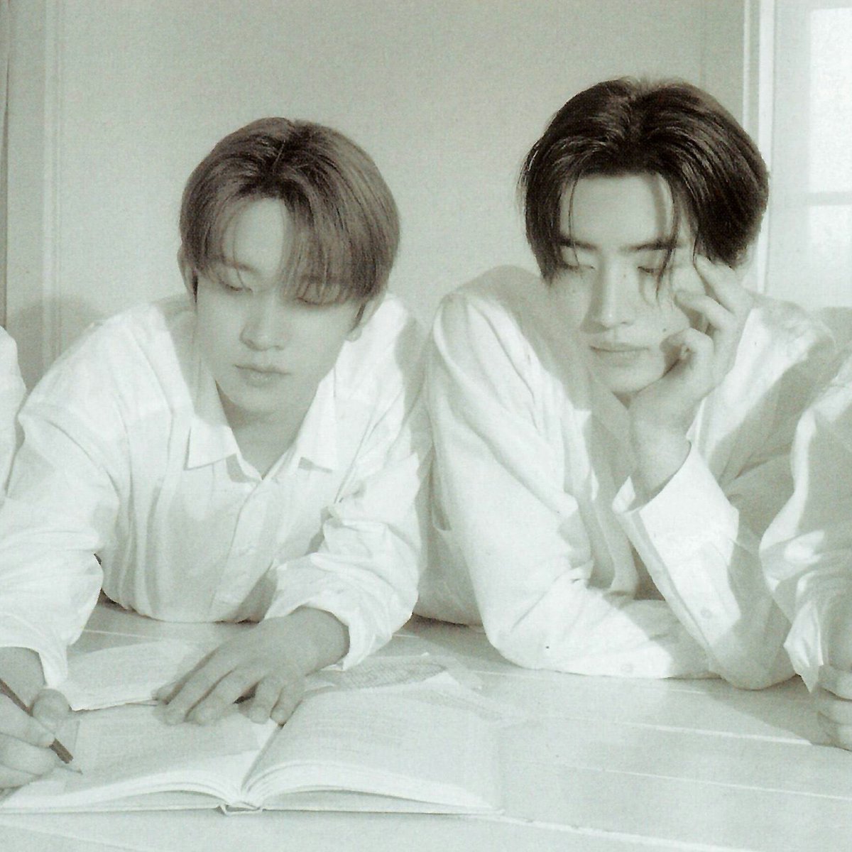 ㅁㄷㅈ tweet media