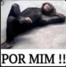 BH KORINGA tweet media