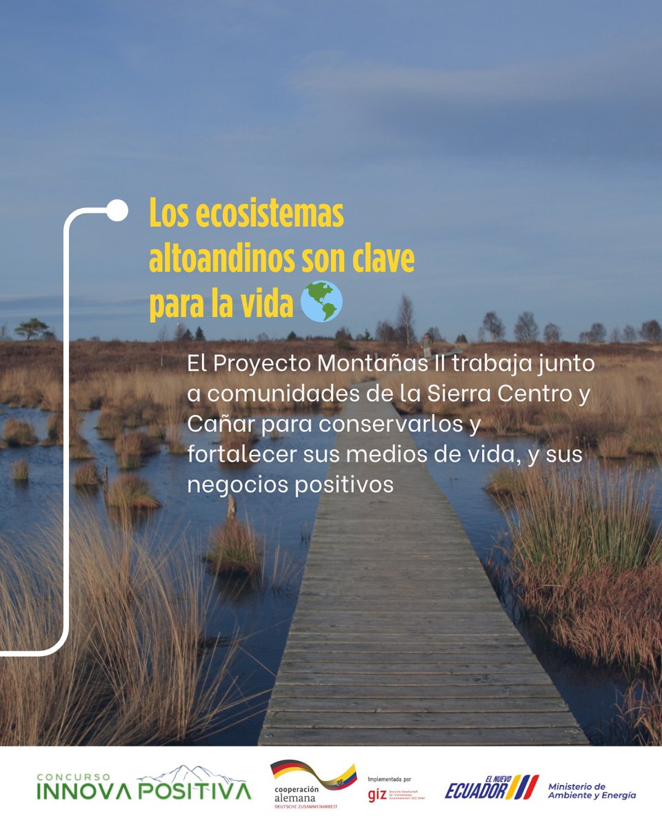 EcuadorMAE's tweet photo. 🌿 Innovar también es cuidar la vida

Llega INNOVA POSITIVA, un concurso que impulsa iniciativas comunitarias sostenibles e innovadoras en páramos y humedales altoandinos del Ecuador.

Si tienes un proyecto o emprendimiento que protege la naturaleza y genera impacto positivo
👉 esta es tu oportunidad
🚀 Mentorías, financiamiento y acompañamiento técnico
📣 Abrimos convocatoria 

Postula hasta el 27 de mayo – 17H00