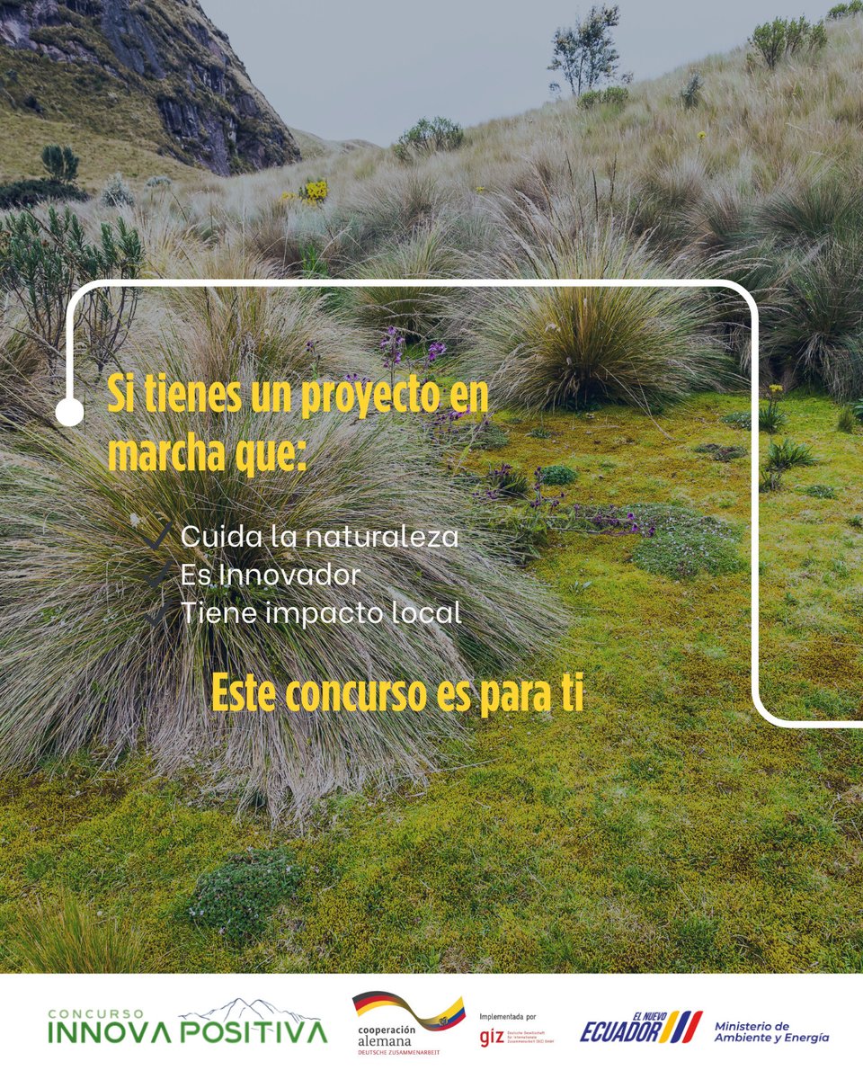 EcuadorMAE's tweet photo. 🌿 Innovar también es cuidar la vida

Llega INNOVA POSITIVA, un concurso que impulsa iniciativas comunitarias sostenibles e innovadoras en páramos y humedales altoandinos del Ecuador.

Si tienes un proyecto o emprendimiento que protege la naturaleza y genera impacto positivo
👉 esta es tu oportunidad
🚀 Mentorías, financiamiento y acompañamiento técnico
📣 Abrimos convocatoria 

Postula hasta el 27 de mayo – 17H00