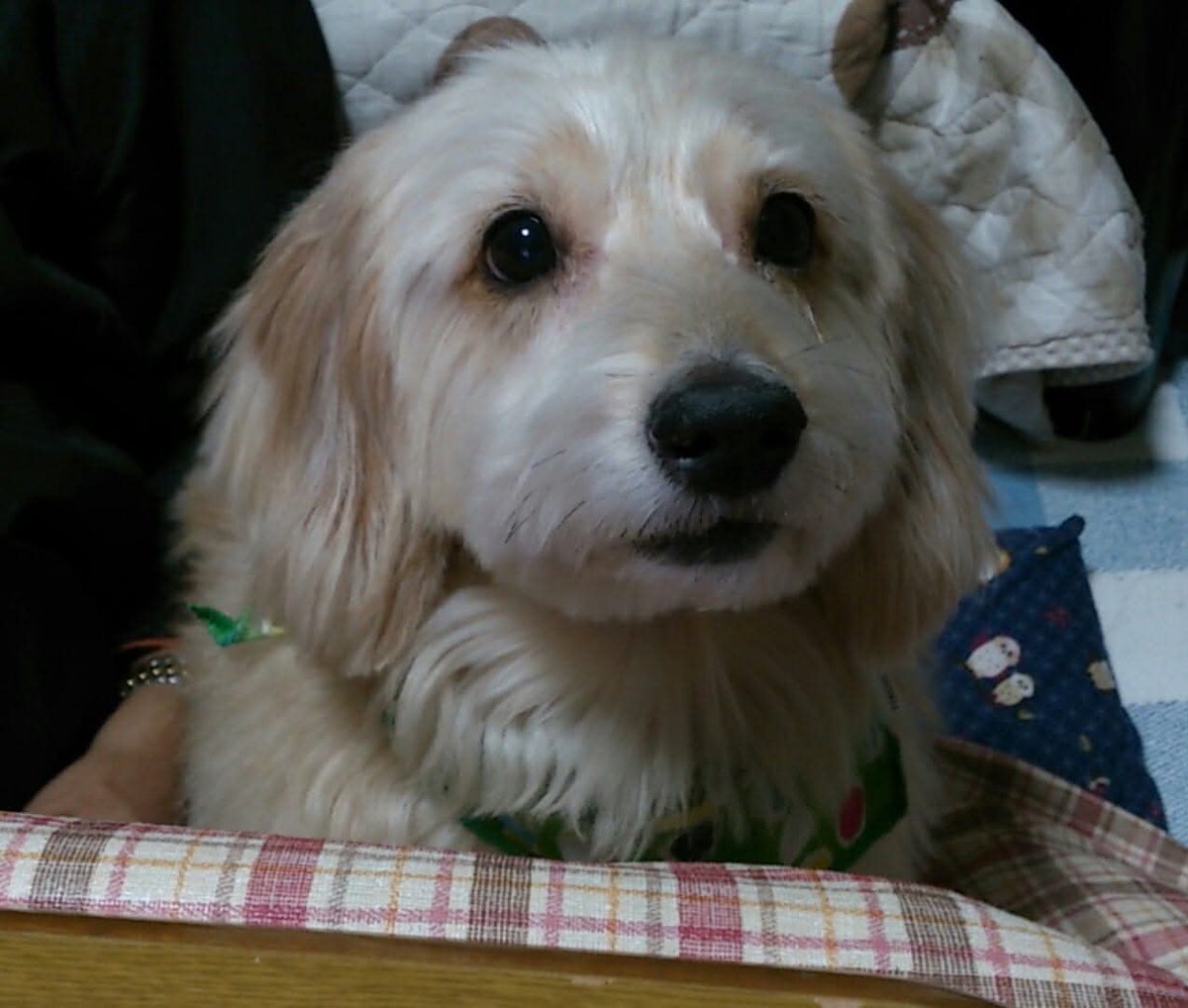 もっちゅぁん tweet media