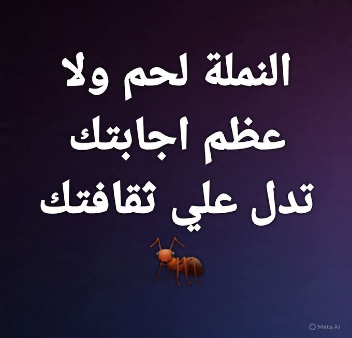 ناصر tweet media