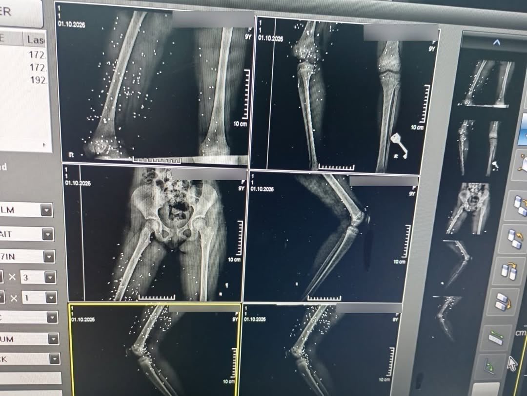 Apranik 🇮🇷🇮🇱 tweet media