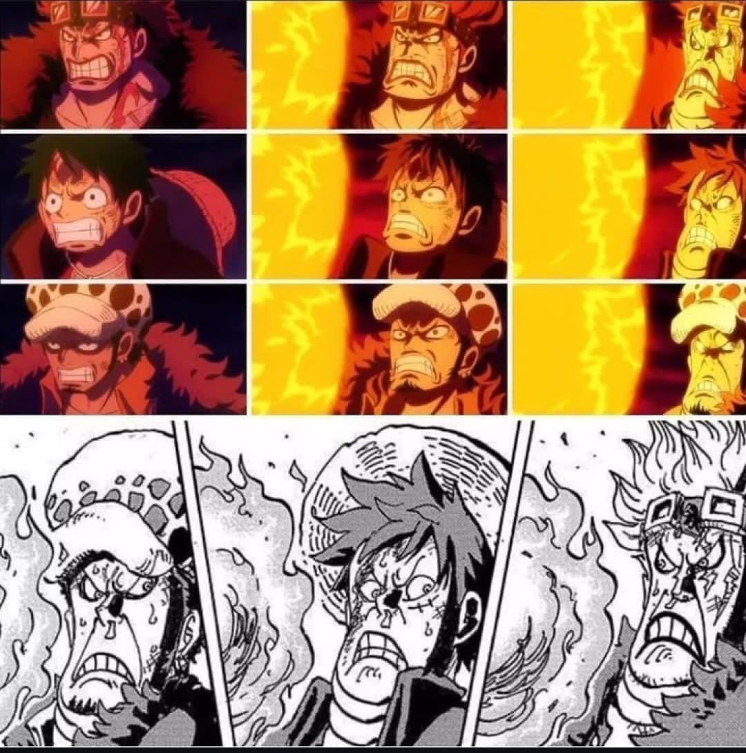 One Piece Daily tweet media