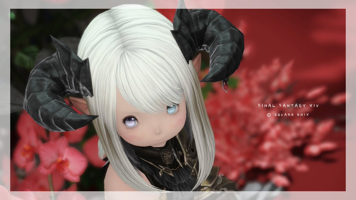 ちょこ@FF14❂Tiamat&☄️Zeromus tweet media