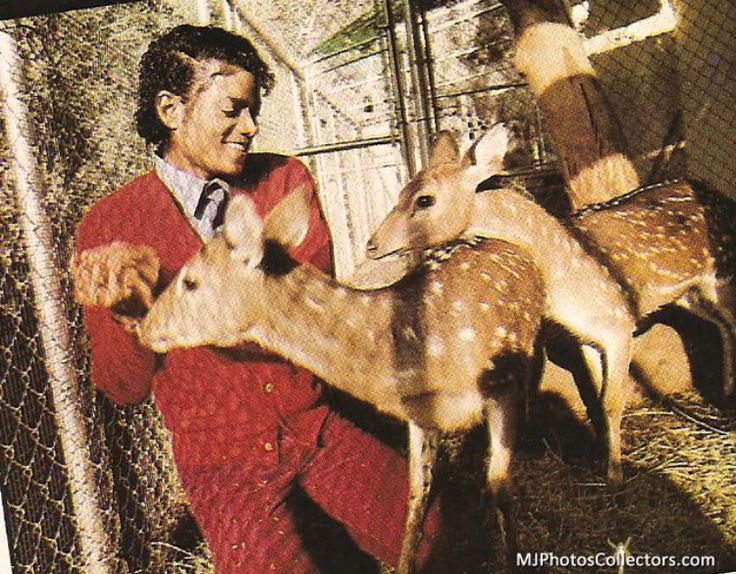 bernardo tweet media