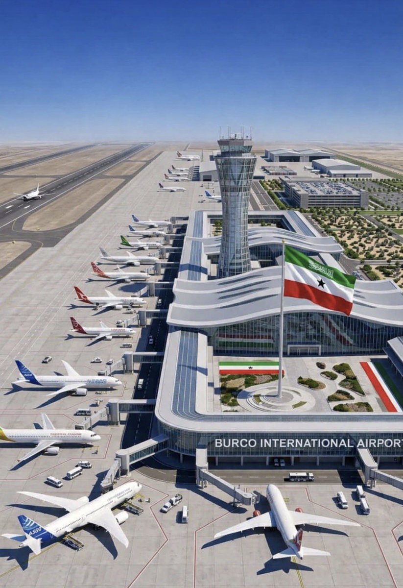 somaliland tweet media