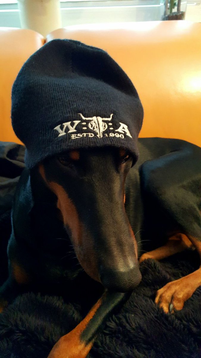 ً 𝑬𝒕𝒉𝒂𝒏. tweet media