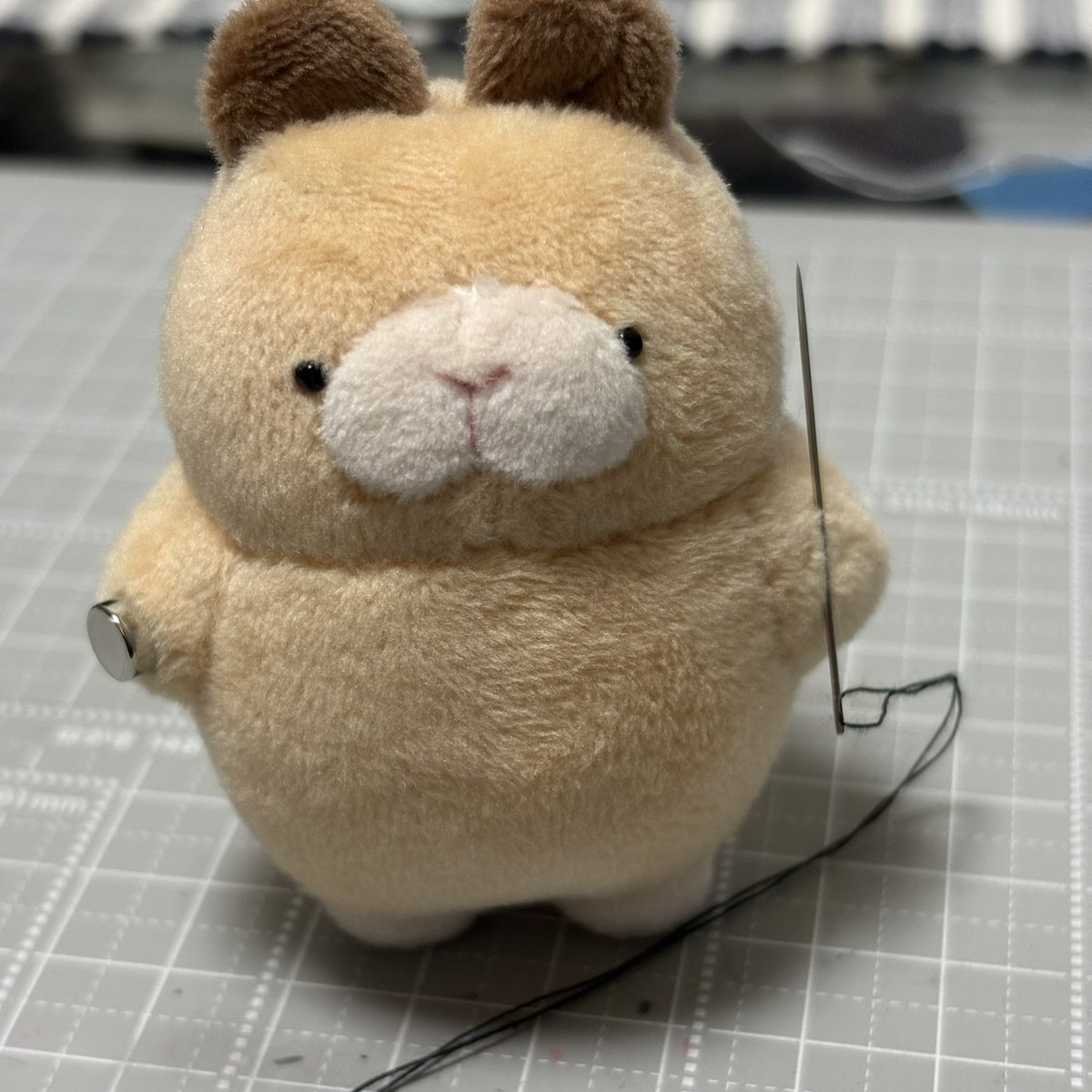 もぐらっぴやさん tweet media