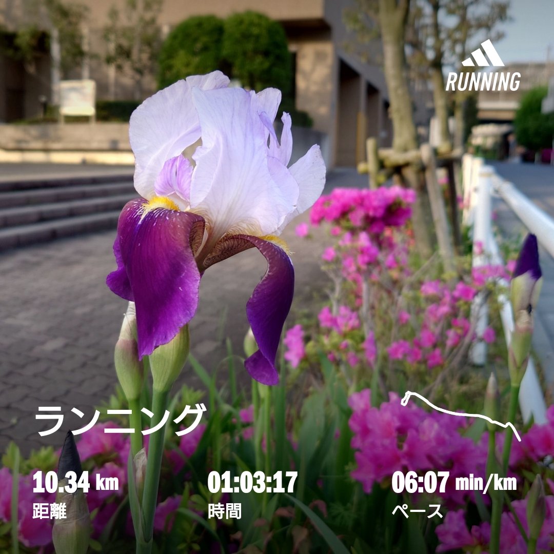としお🇾🇪4/30〜川の道フル tweet media