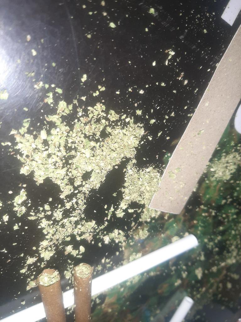 Pot Dropper - Stoner Station tweet media