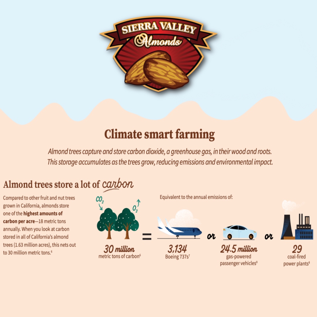 Sierra Valley Almonds tweet media