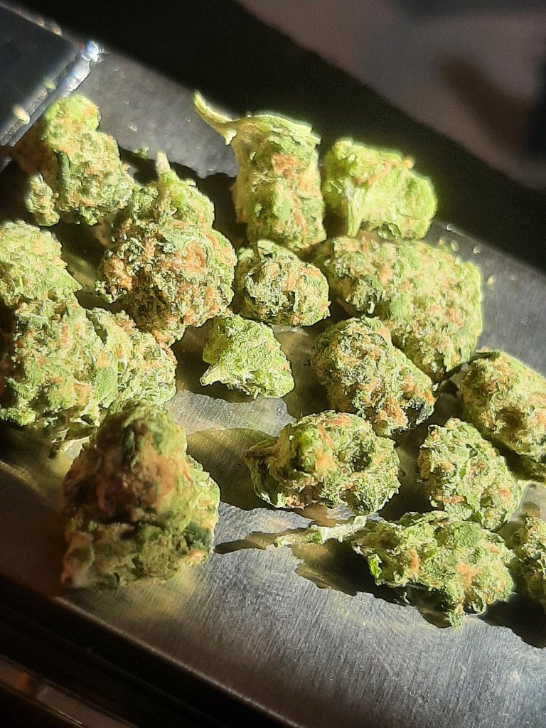 Pot Dropper - Stoner Station tweet media