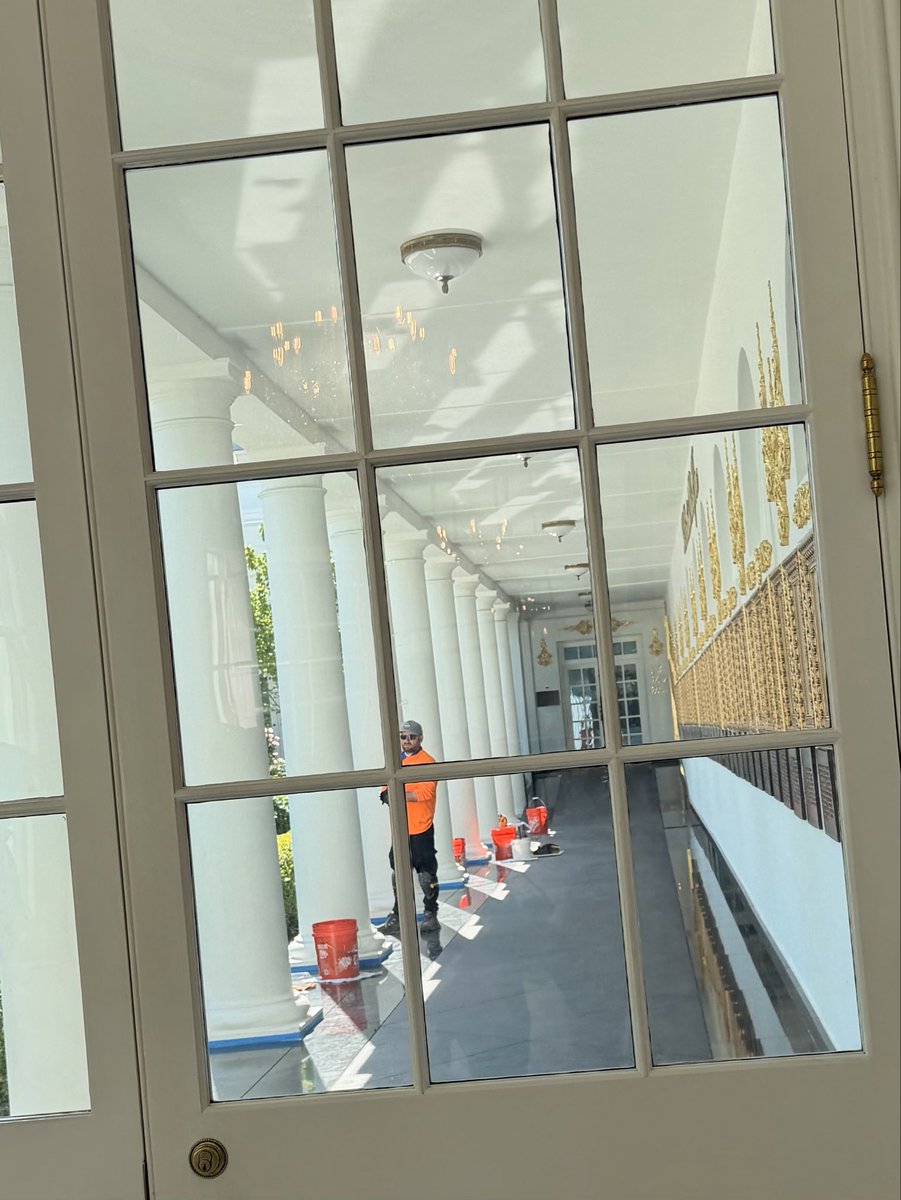 rachelvscott's tweet photo. The colonnade is now black at the White House https://t.co/HlmXDvDBdk