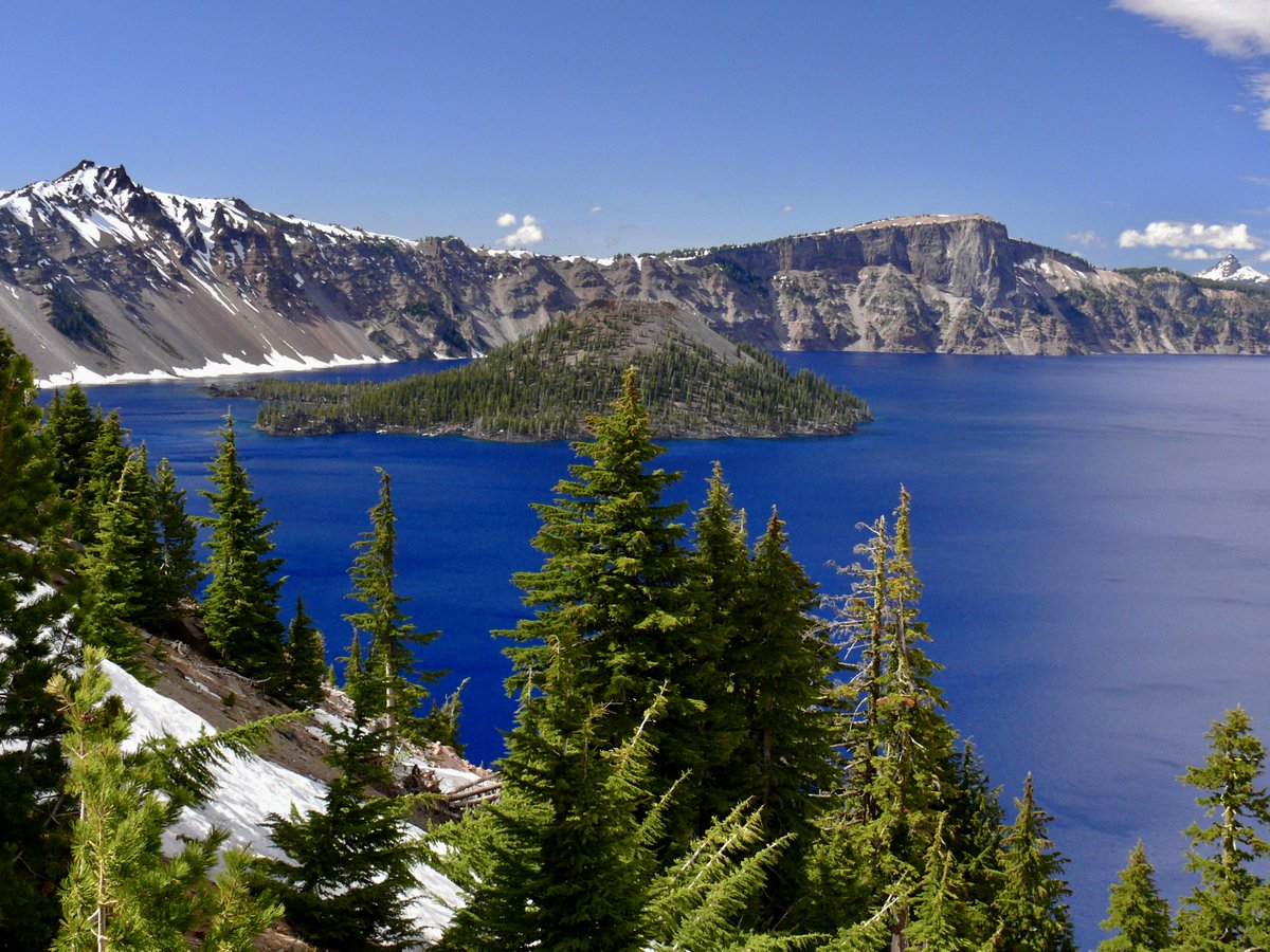 Leslie SoCal ☮️📸🇵🇸 tweet media