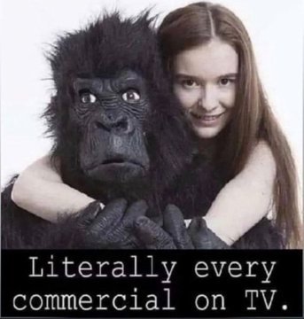 SaXon // I-saac +Son tweet media