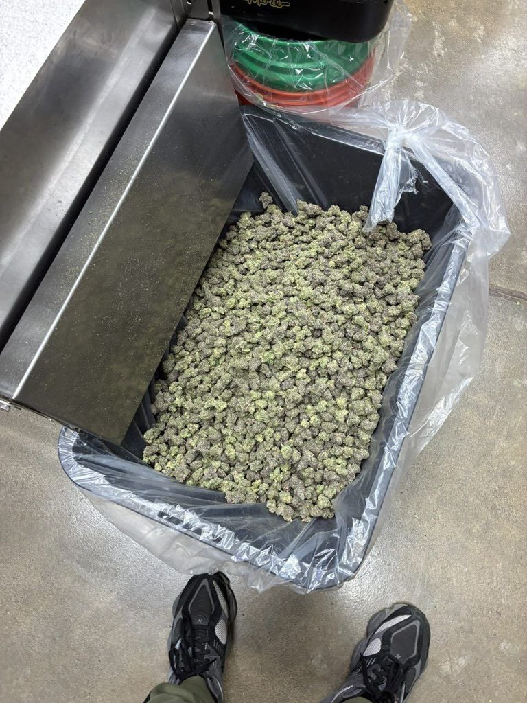 Pot Dropper - Stoner Station tweet media