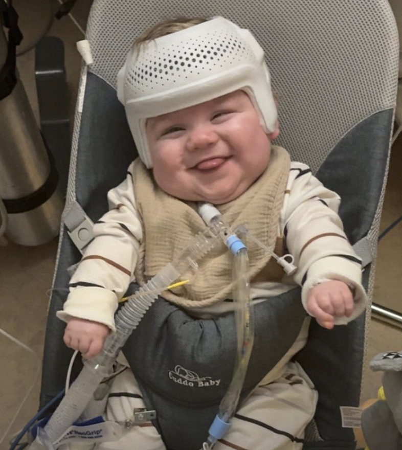 Live Action tweet media