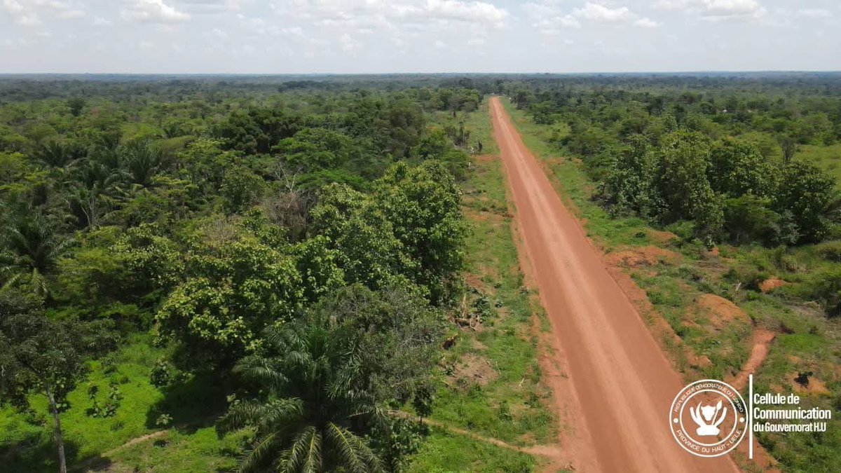 Sarah Kaja tweet media