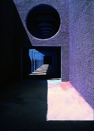 Algerian Visuals 🇩🇿 tweet media