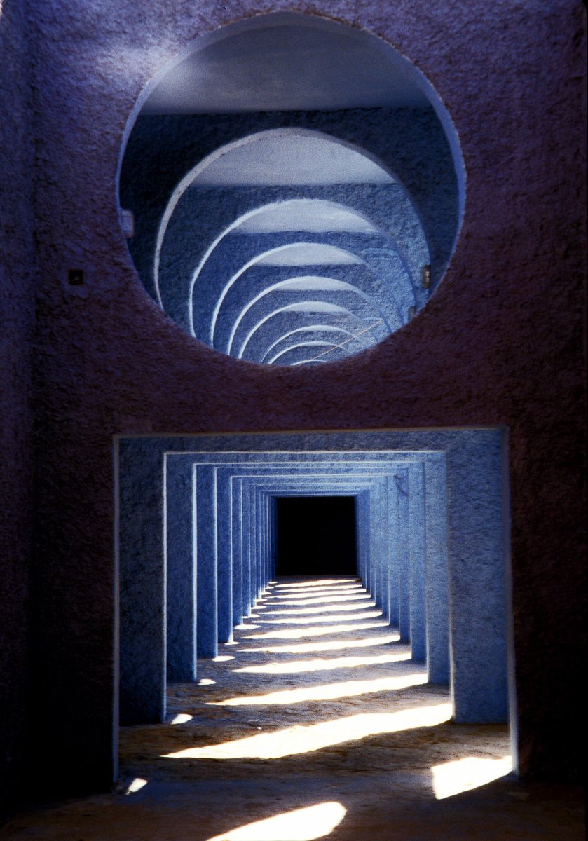 Algerian Visuals 🇩🇿 tweet media